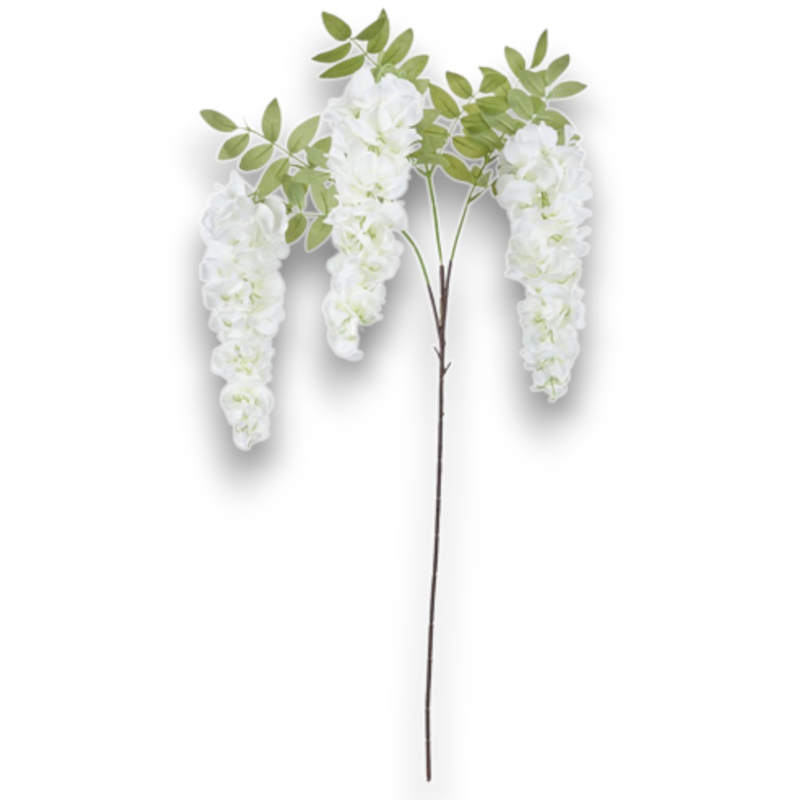 RAMO GLICINE X 3 CM 105 CREMA