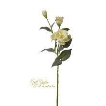 LISIANTHUS X2 CM 70 GREEN