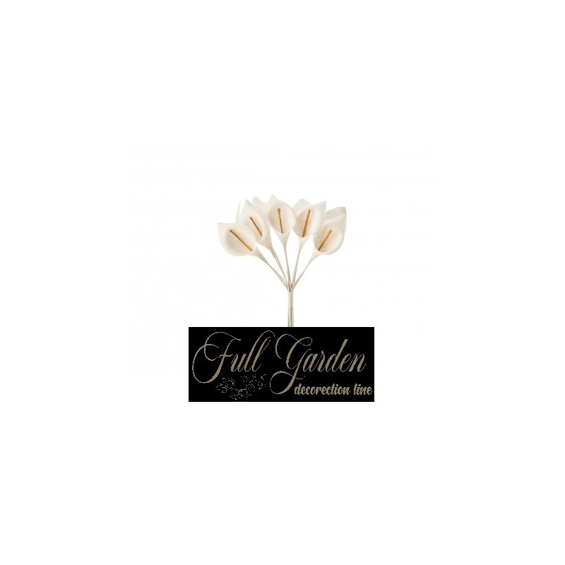 CALLA BIANCA TELATA X 10