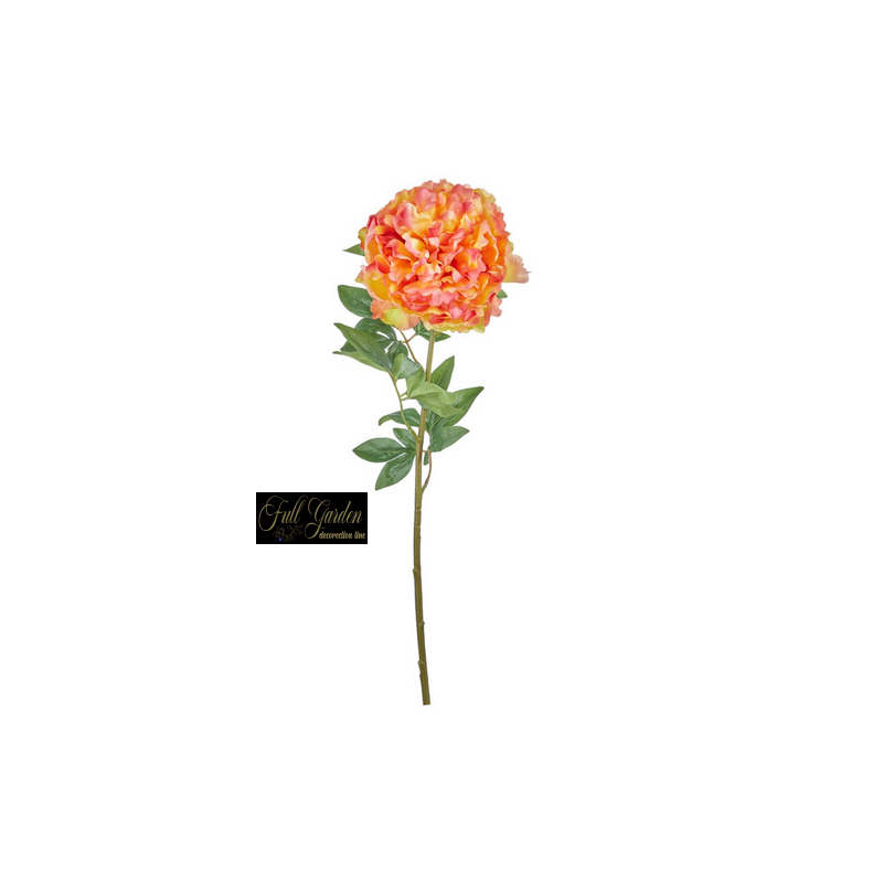 PEONIA NATURAL TOUCH CM.70 ORANGE