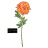 PEONIA NATURAL TOUCH CM.70 ORANGE