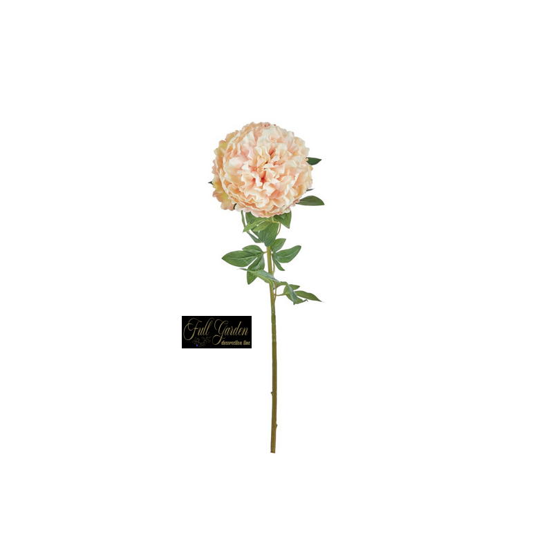 PEONIA NATURAL TOUCH CM.70 LIGHT PINK