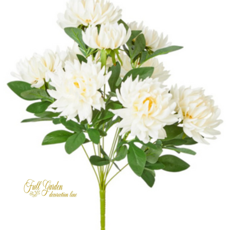 BUSH DALIA X 9 CM 50 CRM