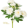 BUSH DALIA X 9 CM 50 CRM