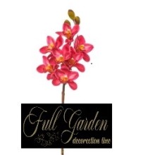 CYMBIDIUM NATURAL TOUCH CM 80 BEAUTY