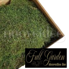 MUSCHIO PIATTO PRESERVATO GR 500 VERDE