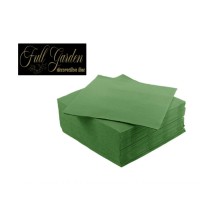 TOVAGLIOLI 25X25 2VELI TOUCH VERDE SMERALDO 100PZ