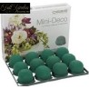 OASIS MINI DECO IDEAL  DM 5 CM PZ 12