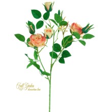 TRALCIO ROSA AIDA APR H. CM60