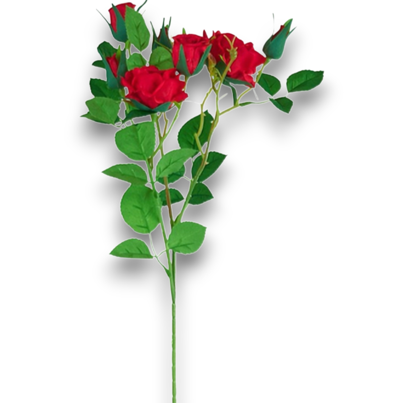 TRALCIO ROSA AIDA ROSSO M60