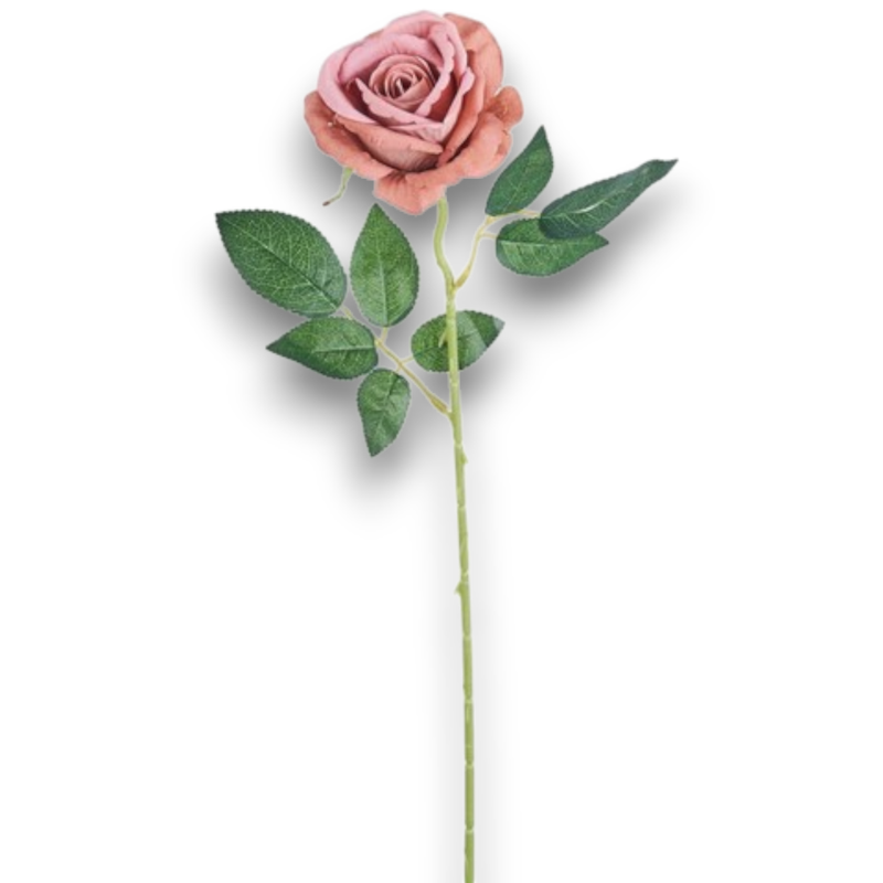 ROSA JULIET MAUVE  CM.60