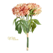 BUNDLE 6 DALIE CM.46 BUT