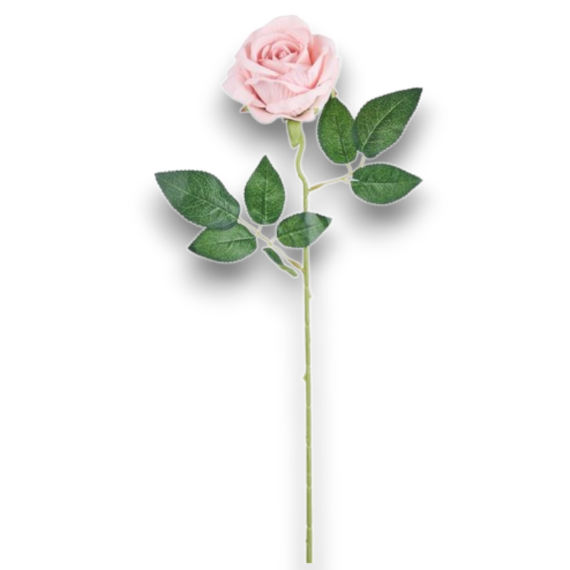 ROSA JULIET PINK CM.60