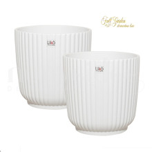 °°°CASPO LILYA  D.24,5 H 24  WHITE MATT