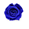 ROSE STABILIZZATE MONALISA  X3 BLU DM6CM