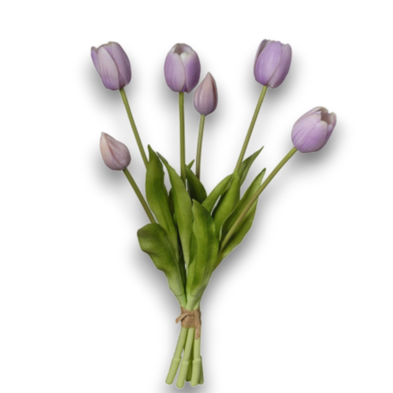 MAZZO TULIPANO X6 PURPLE CM.39