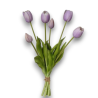MAZZO TULIPANO X6 PURPLE CM.39