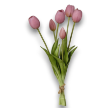 MAZZO TULIPANO X6 OLD PINK CM.39