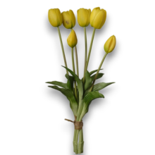 MAZZO TULIPANO X6 YELLOW CM.39