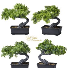 BONSAI IN VASO 4 STILI CM.18X15X18 ASSORTITI
