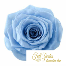 ROSE STABILIZZATE MONALISA  X3 BLU GLICINE DM6CM