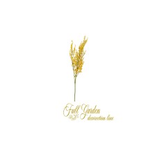 TRALCIO LIMONIUM EMILE CM.73 YELLOW