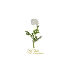 RANUNCOLO X 2 CM.67 CREAM