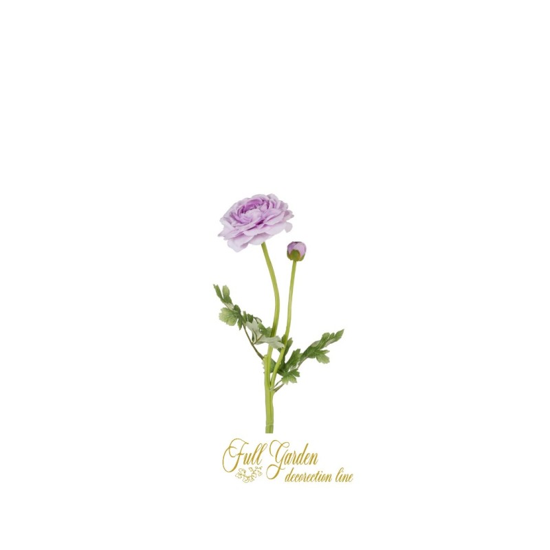 RANUNCOLO X 2 CM.67 PURPLE