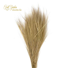 °°°BARBA DI BODE 100 GR NATURALE