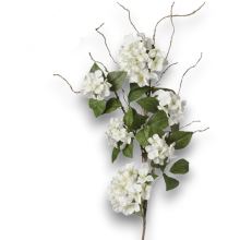 RAMO ORTENSIE C/RAMETTI CM125 - WHITE