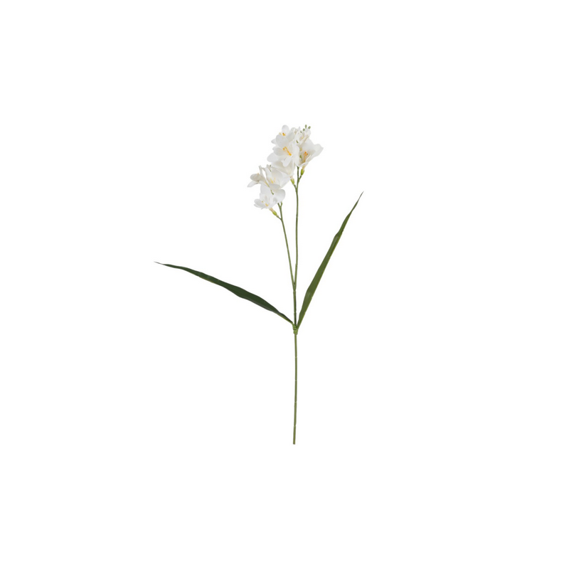 TRALCIO FRESIA WHITE