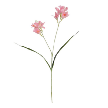 TRALCIO FRESIA LIGHT PINK