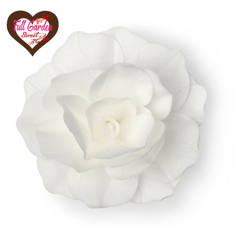 ROSA ROMANTICA BIANCA D.12,5