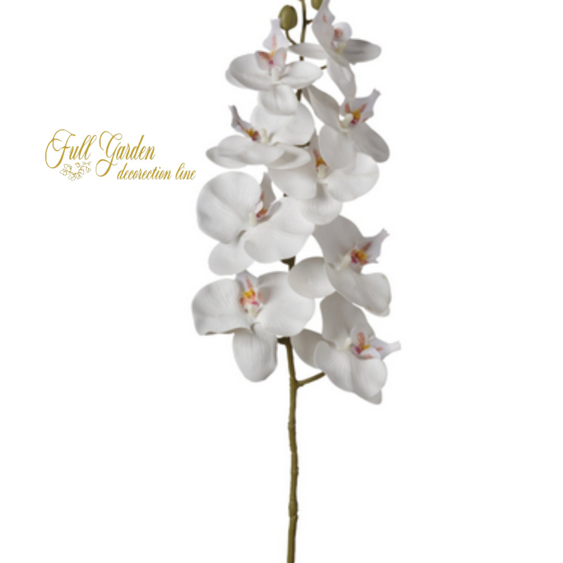RAMO ORCHIDEE X9 CM95  WHITE