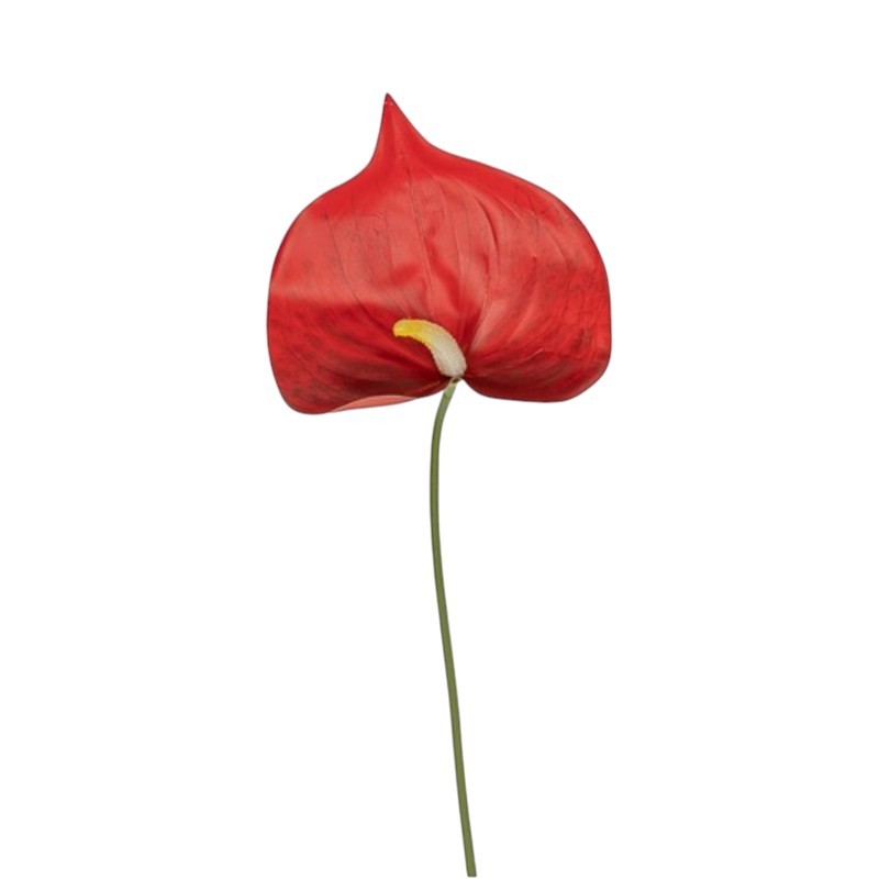 ANTHURIUM RED CM 65