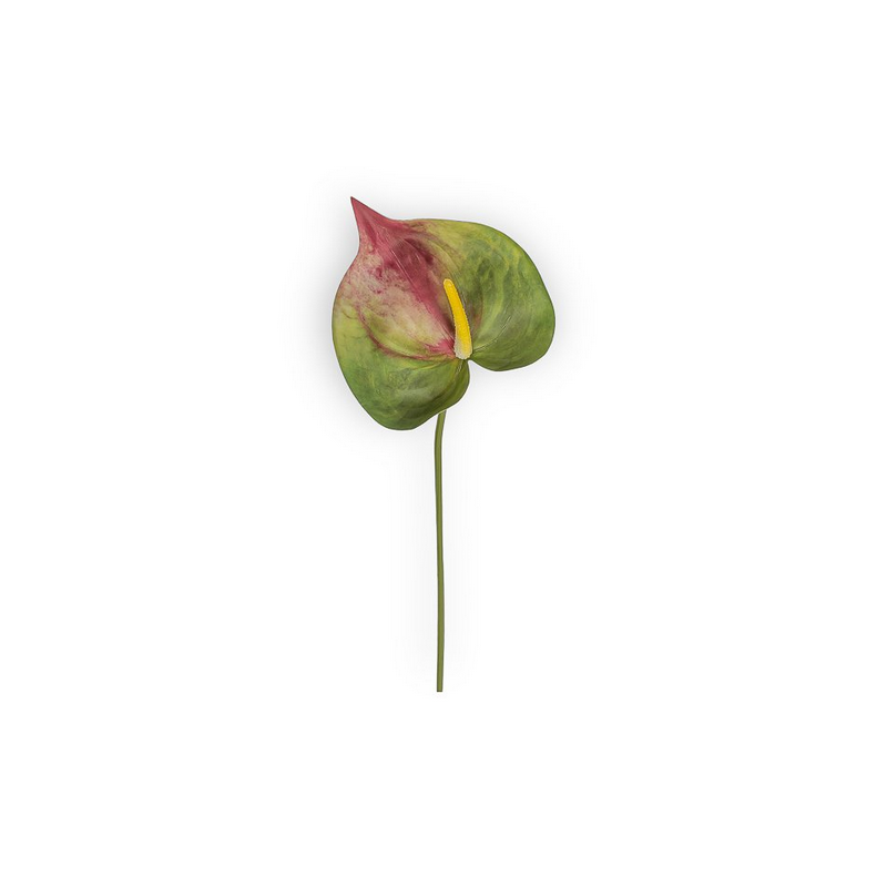 ANTHURIUM GREEN CM 65