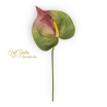 ANTHURIUM PINK CM 65