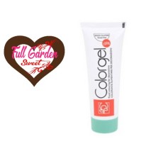 COLOR GEL 100GR VERDE PRATO