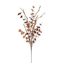 RAMO EUCALIPTO RUST CM.98