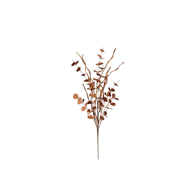 RAMO EUCALIPTO RUST CM.98