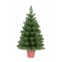 ALBERELLO CM.60  TIPS 68