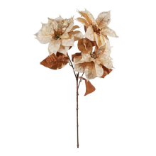 POINSETTIA X 3 CM 84 CREMA