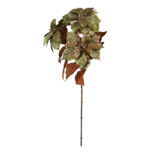 POINSETTIA X 3 CM 84 GREEN