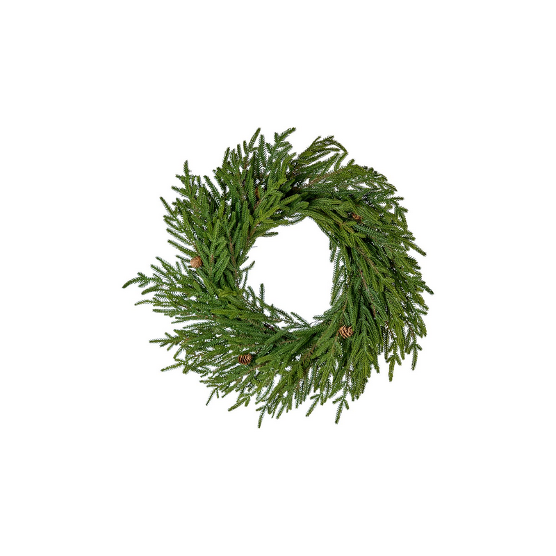 CORONA AURUCARIA FORTUNE CM.60