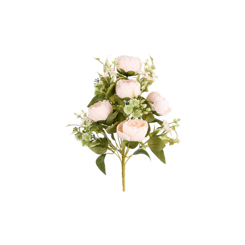 FRONTALE PEONIE X 12  TEA