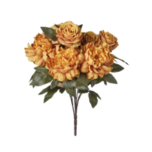 MAZZO ROSE/PEONIE X 9 CM 53 MUSTARD
