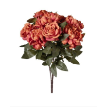 MAZZO ROSE/PEONIE X 9 CM 53 RUST