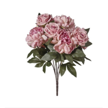 MAZZO ROSE/PEONIE X 9 CM 53 OLD PINK