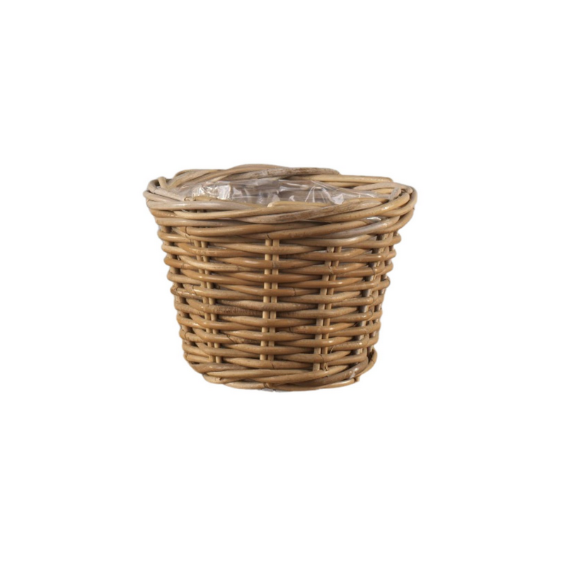 CASPO SVASATO  D.25 H18