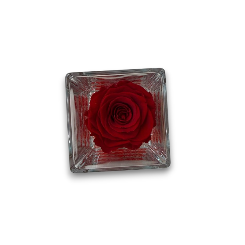 ROSA STABILIZZATA CUBO VETRO 8X8CM ROSSO PROFUMATA